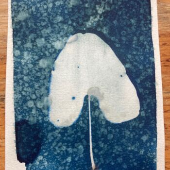 Fotografia zatytułowany „cyanotype feuille d…” autorstwa Erick Philippe (eikioo), Oryginalna praca, Fotografia nie manipulow…