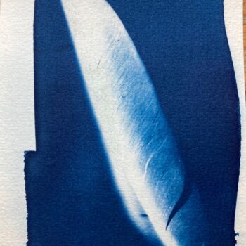 Photography titled "cyanotype (30)" by Erick Philippe (eikioo), Original Artwork, Non Manipulated Photography