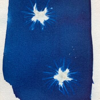 Photographie intitulée "cyanotype de fleurs" par Erick Philippe (eikioo), Œuvre d'art originale, Photographie non manipulée