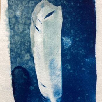 Fotografie mit dem Titel "cyanotype de plume…" von Erick Philippe (eikioo), Original-Kunstwerk, Nicht bearbeitete Fotografie