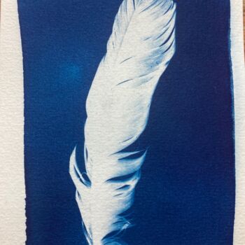 Photography titled "cyanotype plume (05)" by Erick Philippe (eikioo), Original Artwork, Non Manipulated Photography