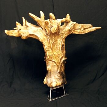 Sculptuur getiteld "Taurus" door Eric Rodriguez Sculpture, Origineel Kunstwerk, Hout