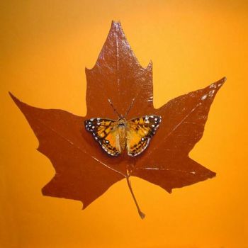 Рисунок под названием "papillon sur feuill…" - Eric Sabatier, Подлинное произведение искусства