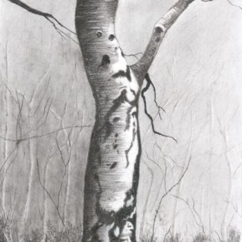 Dibujo titulada "Birch in woods" por Erkan Ertan, Obra de arte original, Carbón
