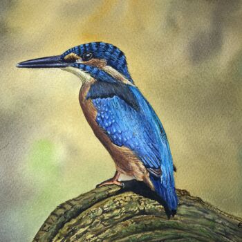 Pintura intitulada "Kingfisher." por Erkin Yılmaz, Obras de arte originais, Aquarela