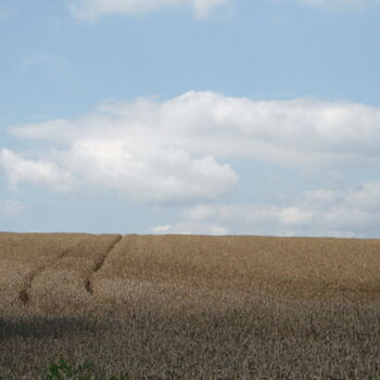 Photographie intitulée "Le champs de blé" par Ernest Tosetti, Œuvre d'art originale, Photographie numérique