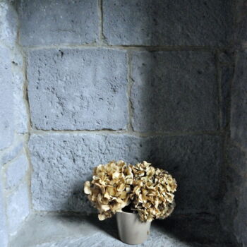 Photographie intitulée "fleurs séches" par Ernest Tosetti, Œuvre d'art originale, Photographie numérique