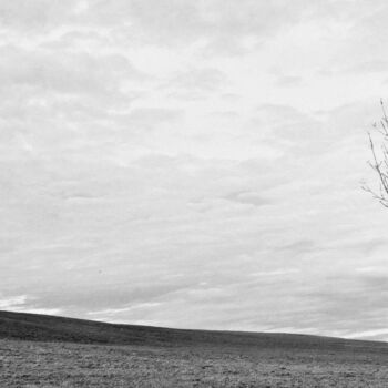 Fotografía titulada "L'arbre et l'horizon" por Ernest Tosetti, Obra de arte original, Fotografía digital