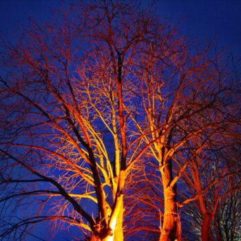 Fotografia zatytułowany „l'arbre et la lumiè…” autorstwa Ernest Tosetti, Oryginalna praca, Fotografia cyfrowa