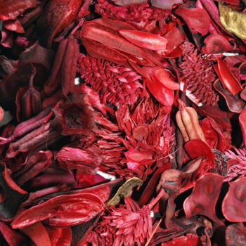 Fotografie mit dem Titel "Tapis de fleurs séc…" von Ernest Tosetti, Original-Kunstwerk, Digitale Fotografie