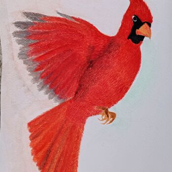 Drawing titled "Cardinal" by Esen Susuz Terzi, Original Artwork, Watercolor
