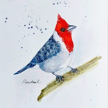 Pintura intitulada "Pássaro Cardeal" por Esmerald Mell, Obras de arte originais, Aquarela