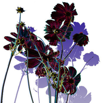 Digital Arts titled "Fleur bleue" by Gérard Esquerre, Original Artwork, Digital Painting Mounted on Other rigid panel