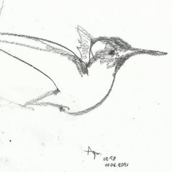 Drawing titled "Sinekkuşu-Hummıngbı…" by Esra Aysu Çeşme, Original Artwork, Charcoal