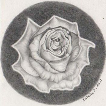 Drawing titled "rose en noir et bla…" by Estelle D, Original Artwork, Other