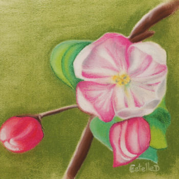 Desenho intitulada "Fleurs de pommier" por Estelle D, Obras de arte originais, Pastel