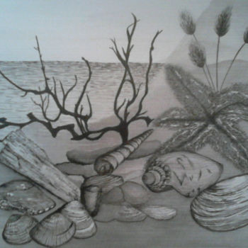 Drawing titled "Trésor de plage" by Estelle D, Original Artwork, Ink