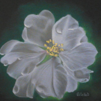 Disegno intitolato "Fleur d'amandier" da Estelle D, Opera d'arte originale, Pastello