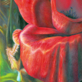 Dibujo titulada "Coquelicot" por Estelle Neff, Obra de arte original, Lápiz