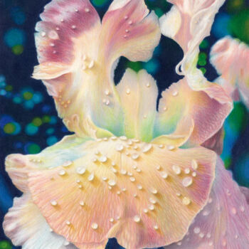 Dessin intitulée "Iris arc-en-ciel" par Estelle Neff, Œuvre d'art originale, Crayon