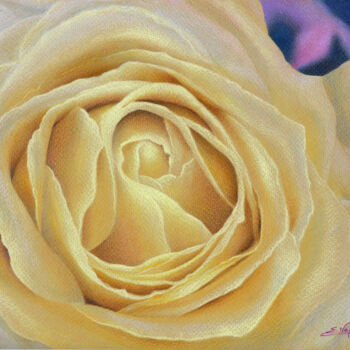 Tekening getiteld "Rose D'Or" door Estelle Neff, Origineel Kunstwerk, Potlood