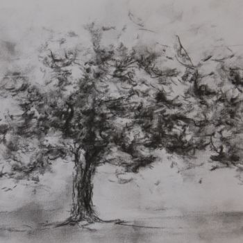Drawing titled "Cerisier" by Estelle Darve, Original Artwork, Charcoal