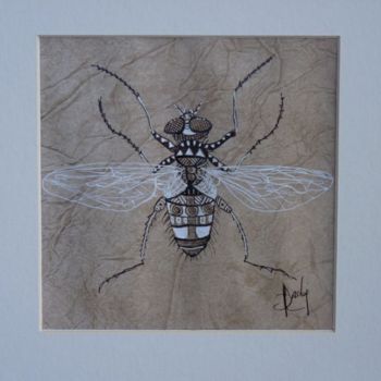 Drawing titled "musca domestica" by Carole Louise Barbier, Original Artwork