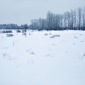 Photography titled "Paysage d'hiver" by Etienne Coumanne, Original Artwork