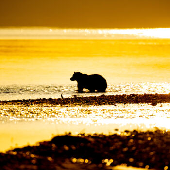 Photography titled "Grizzly - Bain mati…" by Etienne Frankum, Original Artwork, Digital Photography