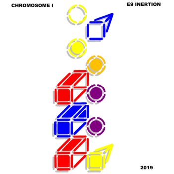 Grafika cyfrowa / sztuka generowana cyfrowo zatytułowany „chromosome I” autorstwa Etienne Frouin (E9 Inertion), Oryginalna p…