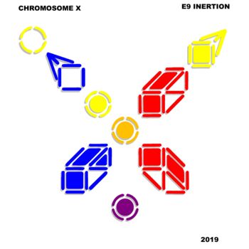 Digital Arts με τίτλο "chromosome X" από Etienne Frouin (E9 Inertion), Αυθεντικά έργα τέχνης, 2D ψηφιακή εργασία