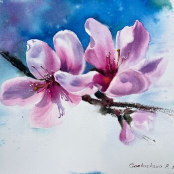 Malarstwo zatytułowany „Peach flowers” autorstwa Eugenia Gorbacheva, Oryginalna praca, Akwarela