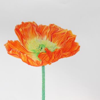 Painting titled "Good luck POPPY" by Eugenia Sternou, Original Artwork, Pencil