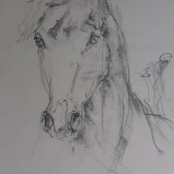 Dessin intitulée "Arabian horse" par Eva Gohier, Œuvre d'art originale, Graphite