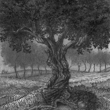 「Tree After The Storm」というタイトルの描画 Eva Maria Jonesによって, オリジナルのアートワーク, グラファイト