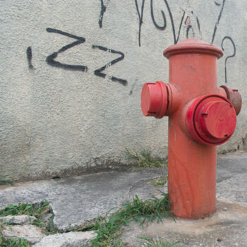 Photography titled "Red fire hydrant" by E. Vargas, Original Artwork, Digital Photography