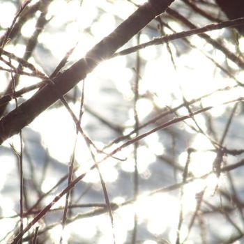 Fotografia intitolato "crépitement" da Caroline Valnet, Opera d'arte originale