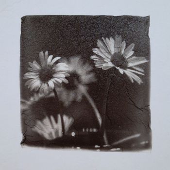 Photographie intitulée "Daisies - Lift Emul…" par Ava Bob, Œuvre d'art originale, Photographie manipulée