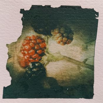 Photographie intitulée "Berries - Emulsion…" par Ava Bob, Œuvre d'art originale, Photographie manipulée