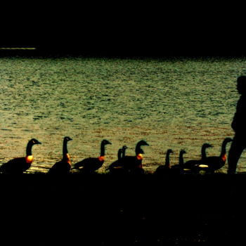 Photographie intitulée "Contresens.jpg" par Eve Cloarec, Œuvre d'art originale, Photographie numérique