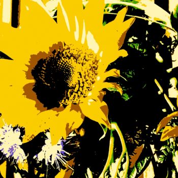 Photographie intitulée "Dernier soleil pour…" par Eve Cloarec, Œuvre d'art originale, Photographie manipulée