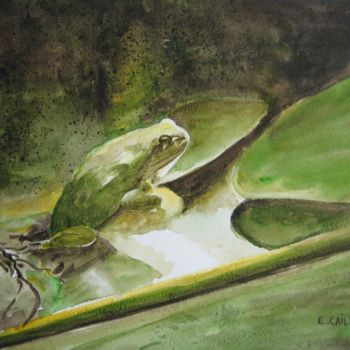 Pittura intitolato "grenouille-aquarell…" da E.Caillard, Opera d'arte originale, Acquarello