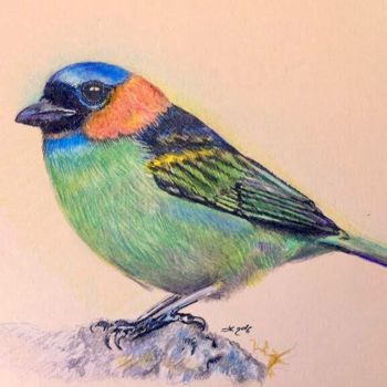 Рисунок под названием "Bird 3" - Evgeniy Karpenko, Подлинное произведение искусства, Цветные карандаши