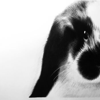 图画 标题为“Rabbit” 由Evgeniy Karpenko, 原创艺术品, 木炭