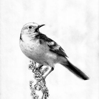 Drawing titled "Little bird 2" by Evgenii Fil, Original Artwork, Graphite