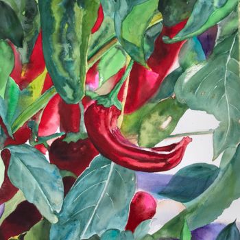 Pintura titulada "Pepperoni" por Ewa Helzen, Obra de arte original, Acuarela