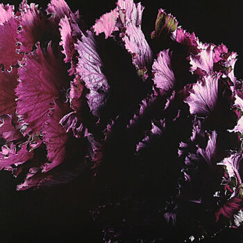 Фотография под названием "Violet Gabbage" - Exors, Подлинное произведение искусства, Пленочная фотография
