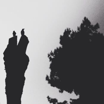 Fotografie mit dem Titel "Ravens" von Eyup Ersin, Original-Kunstwerk