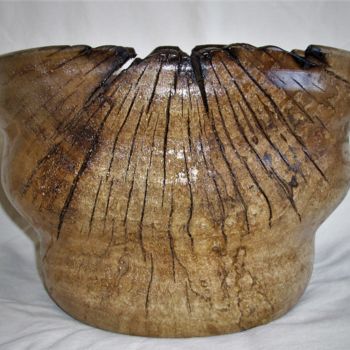 Design getiteld "Rooted bowl" door Faber Artisan, Origineel Kunstwerk, Tabel kunst