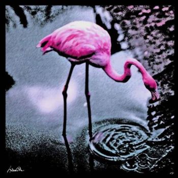 Fotografia intitolato "EL FLAMINGO" da Fabiana Flores Prieto, Opera d'arte originale